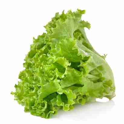 Lettuce Pata One Bundle